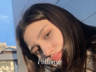 Pollimyr
