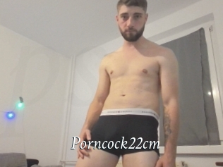 Porncock22cm