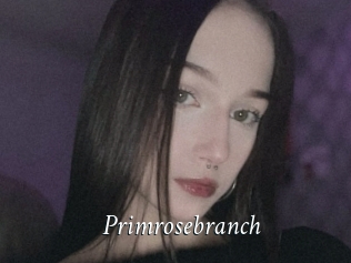 Primrosebranch
