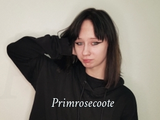 Primrosecoote