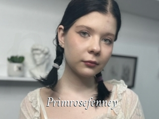 Primrosefenney