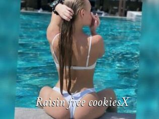 Raisin_free_cookiesX