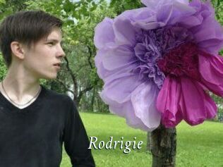 Rodrigie