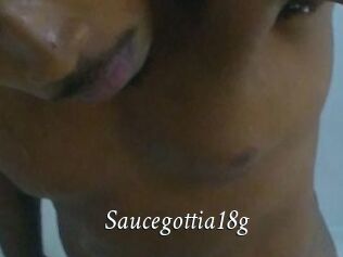Saucegottia18g