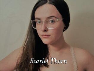 Scarlet_Thorn