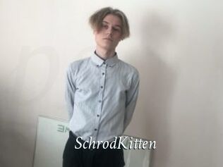 SchrodKitten