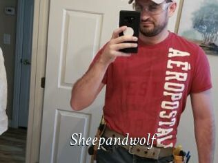 Sheepandwolf
