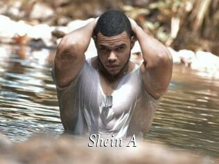 Shein_A