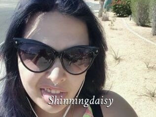 Shinningdaisy