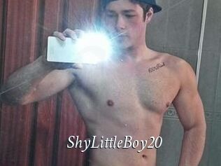 ShyLittleBoy20