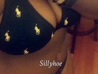 Sillyhoe