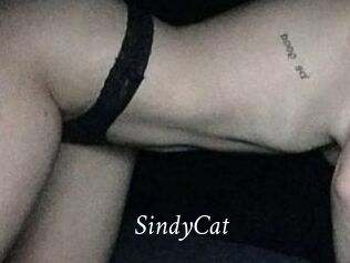 SindyCat