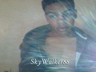 SkyWalker88