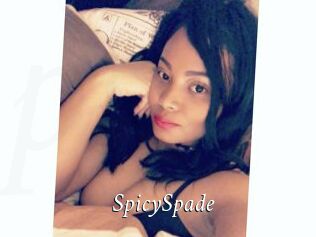 SpicySpade