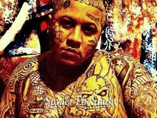 SpiderTheSnake