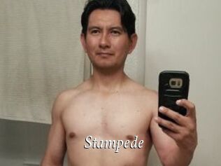 Stampede