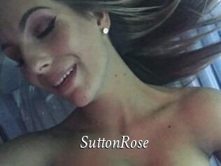 Sutton_Rose
