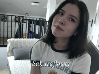 Sakuraflower