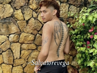 Salvatorevega