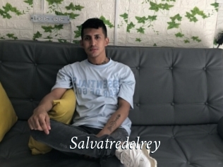 Salvatredelrey