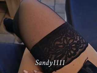 Sandy1111