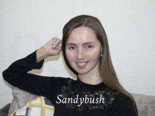 Sandybush