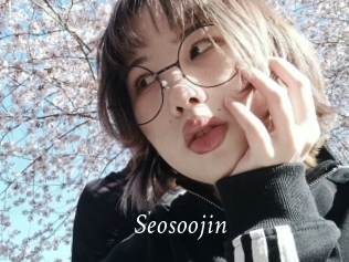 Seosoojin