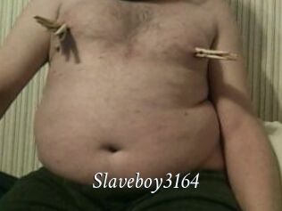 Slaveboy3164