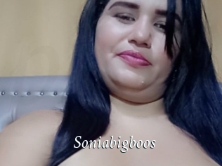 Soniabigboos