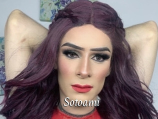 Sotoami
