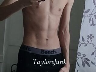 TaylorsJunk