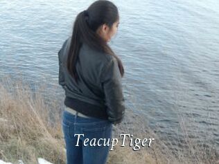 TeacupTiger