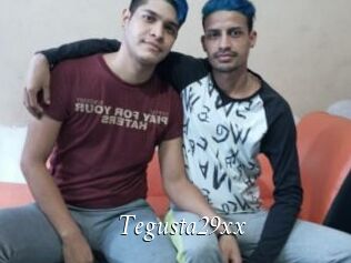 Tegusta29xx