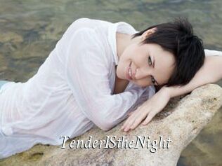 TenderIStheNight