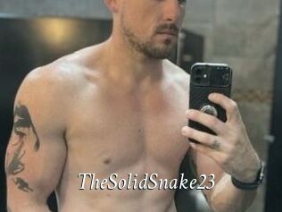TheSolidSnake23