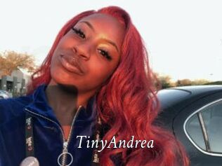 TinyAndrea