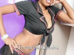 TinytwinkleZambia