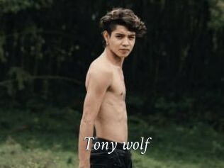 Tony_wolf
