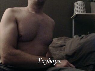 Toyboyx