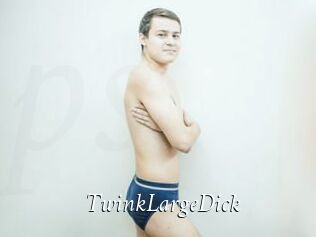 TwinkLargeDick