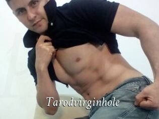 Tarodvirginhole