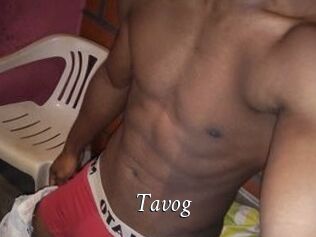 Tavog