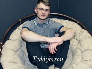 Teddybizon