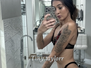 Tiny_taylorr