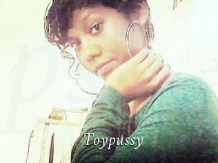 Toypussy
