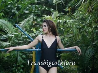 Transbigcockforu