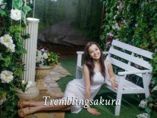 Tremblingsakura