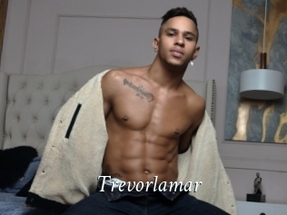 Trevorlamar