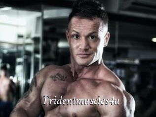 Tridentmuscles4u