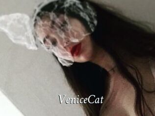 VeniceCat